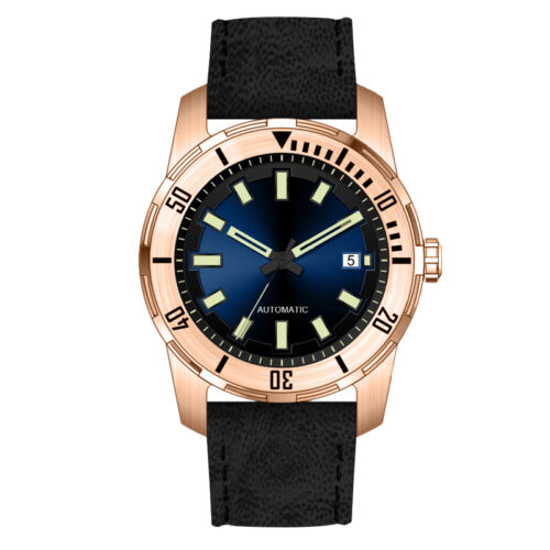 Men's Automatic Classic Watch - Stainless steel & Leather 1