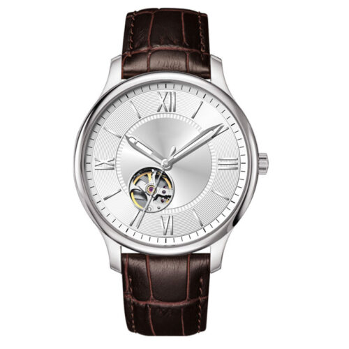 Men's Sapphire Automatic Classic Watch - Stainless steel & Leather